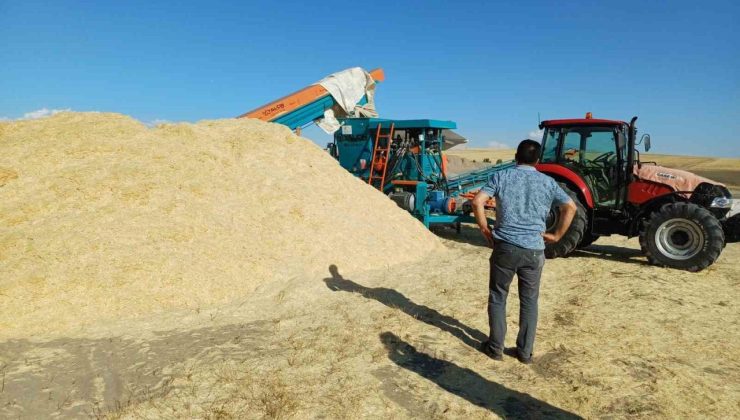 Geçen yıl tarlada çürüyen saman, bu yıl çiftçinin yüzünü güldürdü