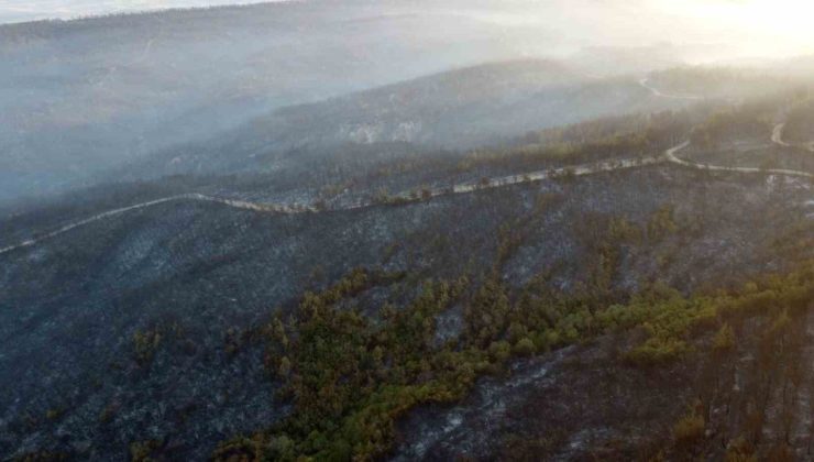 Gelibolu’da büyük ölçüde kontrol altına alınan orman yangınında yanan yerler dronla görüntülendi