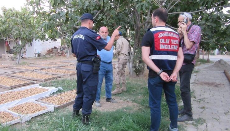 Germencik’te incir hırsızlığına karşı jandarmadan sıkı denetim