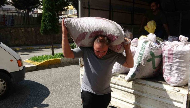 Giresun’da serbest piyasa fındık fiyatı, TMO’nun fiyatlarının üzerine çıktı