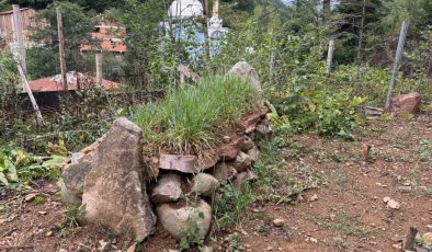 Giresun’un manevi değerlerinden Hacı İlyas’ın mezarının türbeye dönüşmesi isteniyor