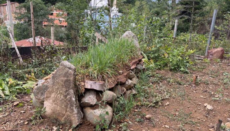 Giresun’un manevi değerlerinden Hacı İlyas’ın mezarının türbeye dönüşmesi isteniyor