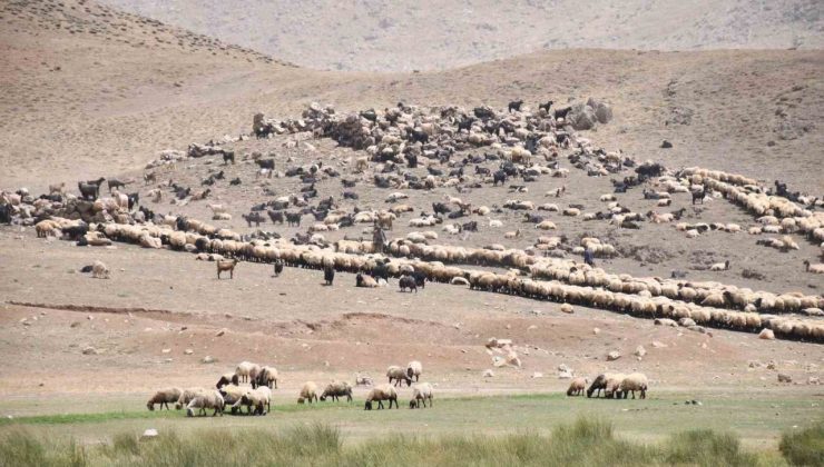 Göçerler yayladan inmeye başladı