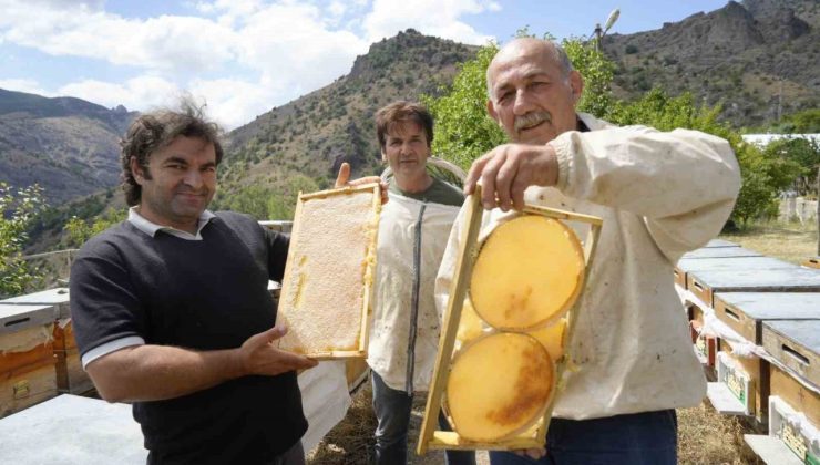 Gümüşhane’de 2025 yılı bal hasadı üreticilerin yüzünü güldürdü