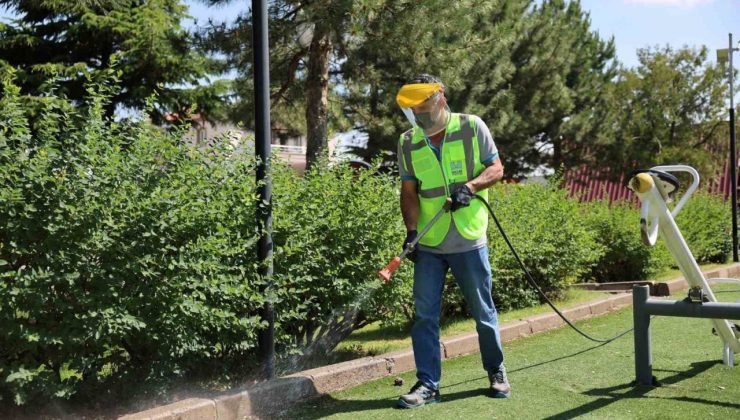 Hacılar’da haşereye karşı etkin mücadele