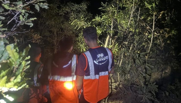 Hakkari’de orman yangını