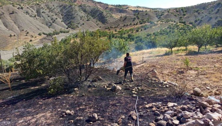Hekimhan’da ormanlık alanda çıkan yangın söndürüldü