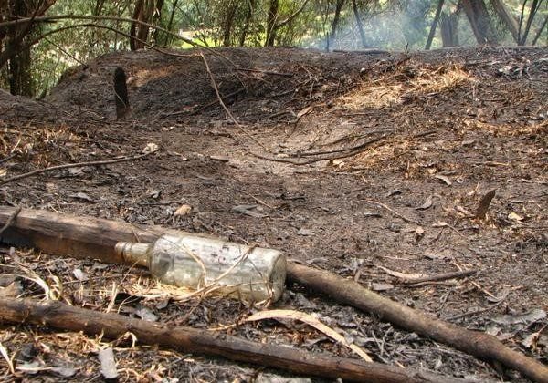 İspanya 14 farklı noktada orman yangını: 7 ölü
