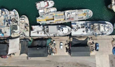İzmir’de deniz kirliliği balığı vurdu: Sardalyasız sezon kapıda