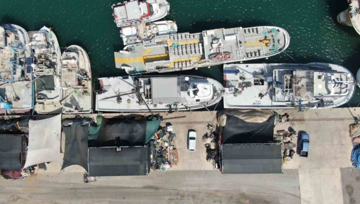 İzmir’de deniz kirliliği balığı vurdu: Sardalyasız sezon kapıda
