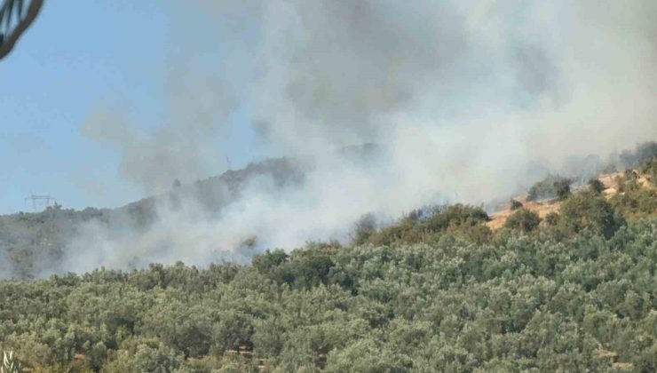 İznik’te orman yangını