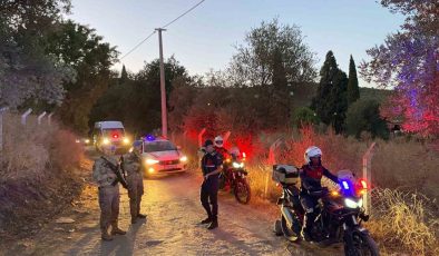 Jandarma incir hırsızlarına geçit vermiyor