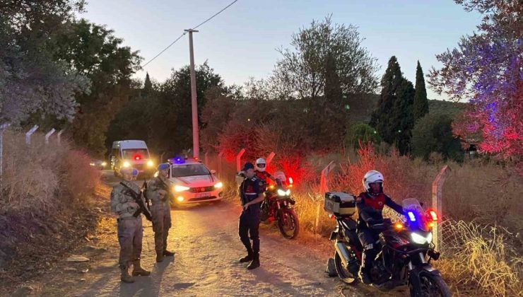 Jandarma incir hırsızlarına geçit vermiyor