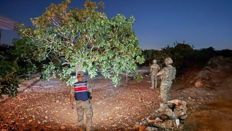 Jandarmanın fıstık nöbeti başladı