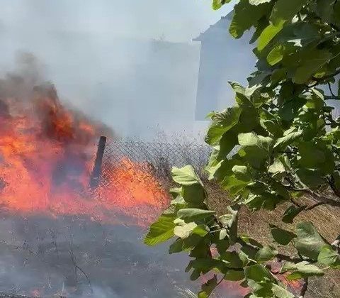Karmürsel’den sonra Kandıra’da da yangın başladı