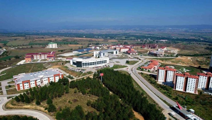 Kastamonu Üniversitesi, tayların bağışıklık sistemi üzerinde araştırma yapacak