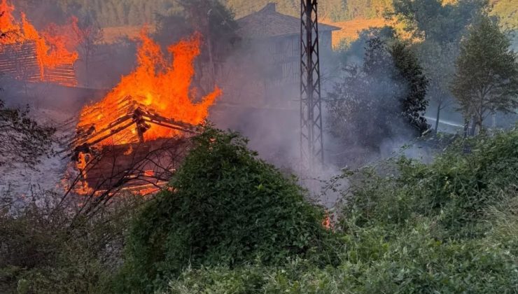 Kastamonu’da alevlere telim olan iki samanlık yandı