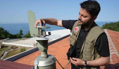Kastamonu’da, Rusya’dan gelen polen tespit edildi: Polen alerjisi olanları ağustos ve eylül aylarında etkiliyor