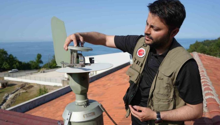 Kastamonu’da, Rusya’dan gelen polen tespit edildi: Polen alerjisi olanları ağustos ve eylül aylarında etkiliyor