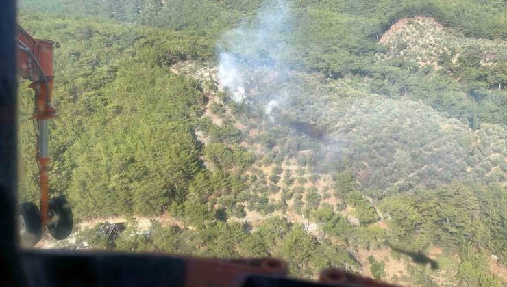 Kazdağları Milli Parkı’nda çıkan yangın kısa sürede söndürüldü