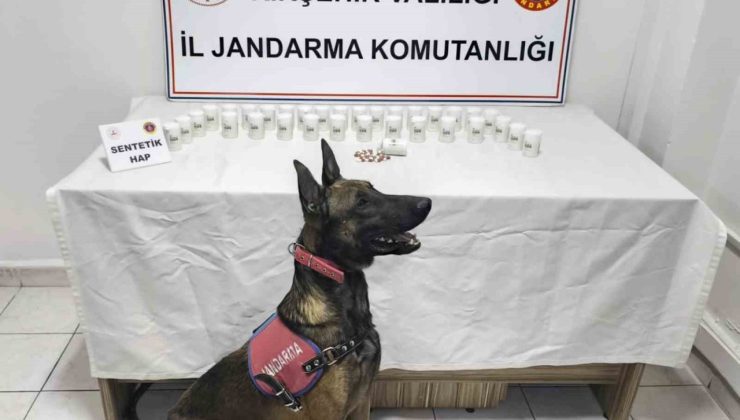 Kırşehir’de bin 823 sentetik hap ele geçirildi: 2 gözaltı
