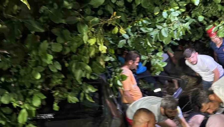 Kontrolden çıkan otomobil, ağaçlık alana girdi: 3 yaralı