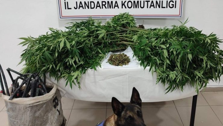 Konya’da uyuşturucu tacirlerine operasyon