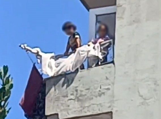 Küçük çocuklar yürekleri ağza getirdi