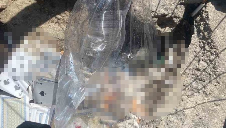 Küçükçekmece’de 4 çocuk tuz ruhuyla hazırladıkları şişeyi kıraathaneye attı: 1 yaralı
