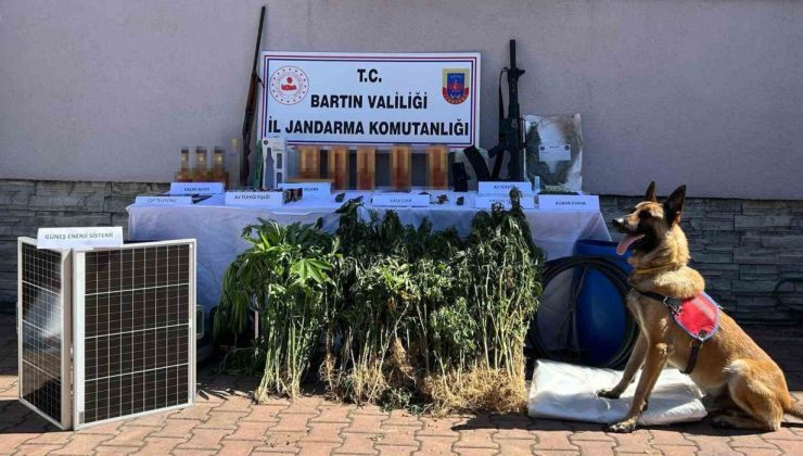 Kurucaşile’deki uyuşturucu operasyonunda 1 kişi tutuklandı
