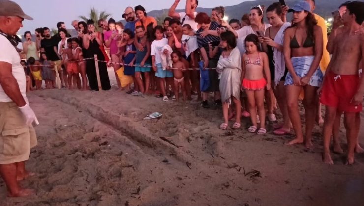 Kuşadası’nda koruma altındaki yuvadan ilk yavrular denize ulaştı
