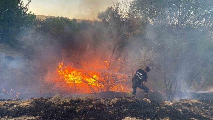 Malatya’da anız yangınında 50 dönümlük arazi zarar gördü