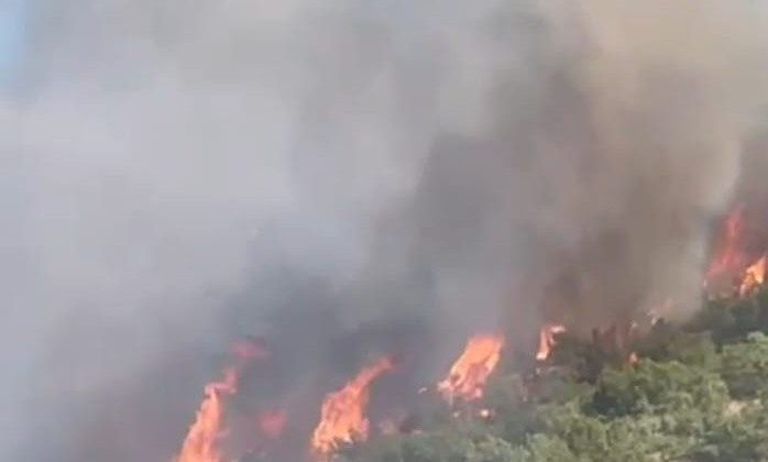 Malatya’da orman yangını