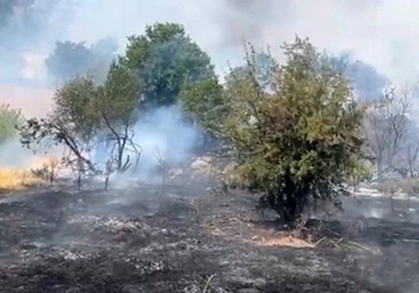 Malatya’da orman yangını