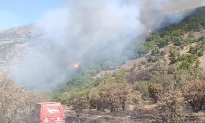 Malatya’daki orman yangını söndürüldü