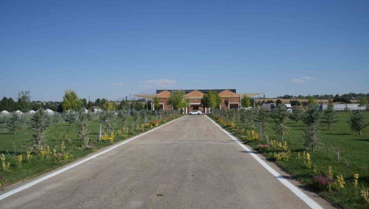 Malazgirt’te 1071 çiçek dikildi