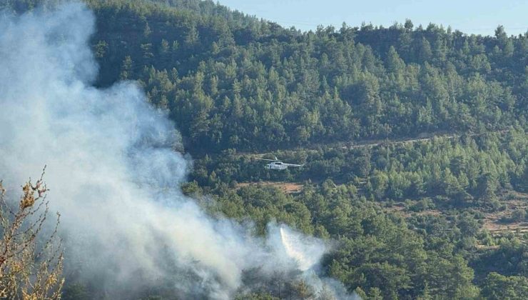 Manavgat’ta ormanlık alanda yangın