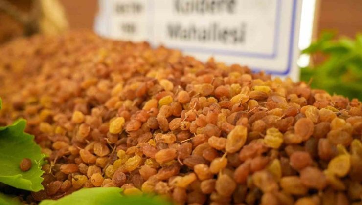 Manisa’da borsaya gelen yılın ilk kuru üzümü 3 bin 500 TL’den alındı