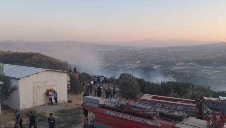Manisa’da orman yangını