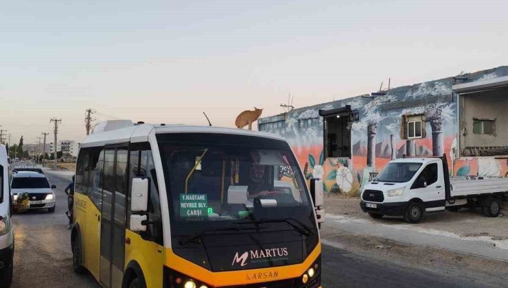 Mardin’de dolmuşun üzerinde yolculuk yapan kedi kameraya yansıdı