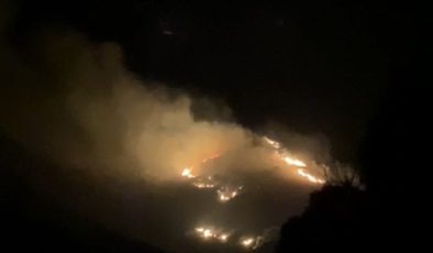 Marmara Adası’nda arazi yangını başladı
