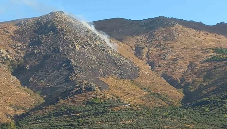 Marmara Adası’ndaki yangın kontrol altına alındı