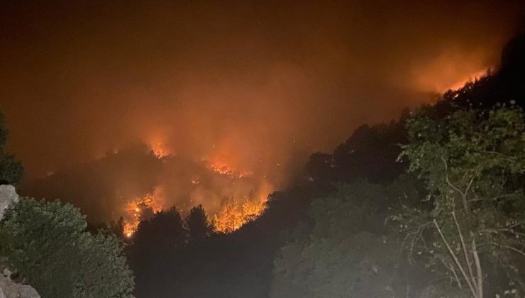 Mersin’de iki ilçede orman yangınları sürüyor