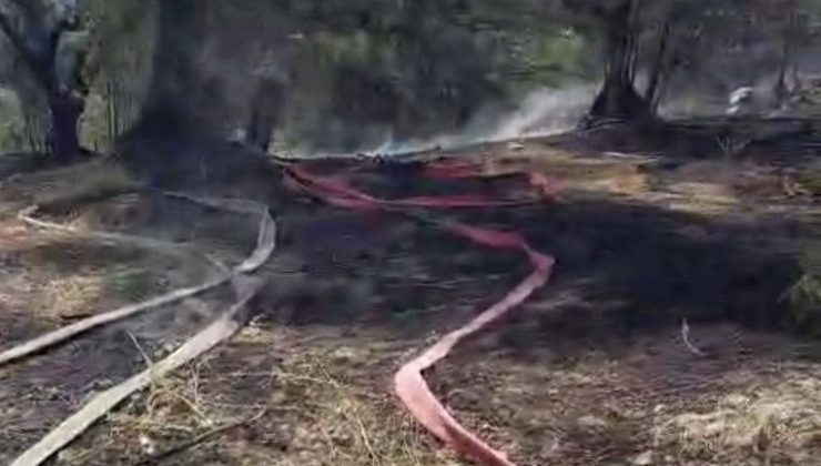 Mudanya’da korkutan yangın