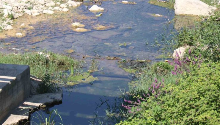 Mudurnu Deresi’ni kirleten firmanın faaliyeti durduruldu