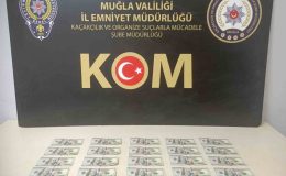 Muğla’da sahte dolar operasyonu