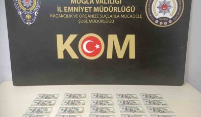 Muğla’da sahte dolar operasyonu