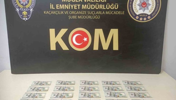 Muğla’da sahte dolar operasyonu