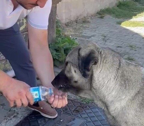 Muhtardan insanlık dersi