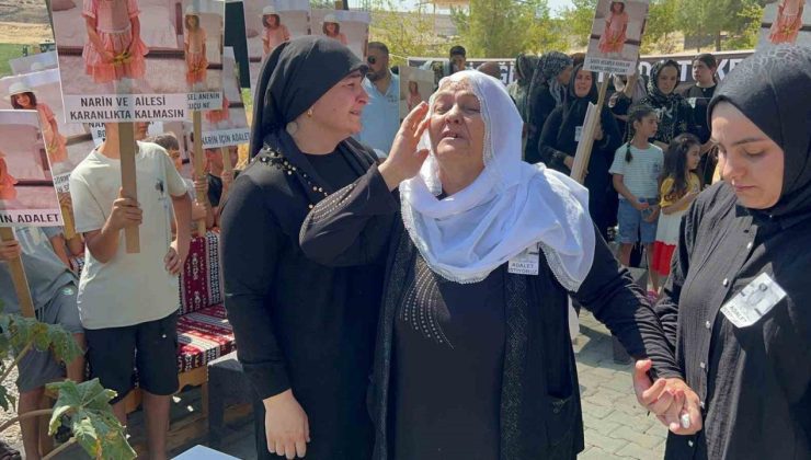 Narin’in mezarı başında Kürtçe ağıt: ’’Hem canımızı aldılar hem evimizi başımıza yıktılar’’